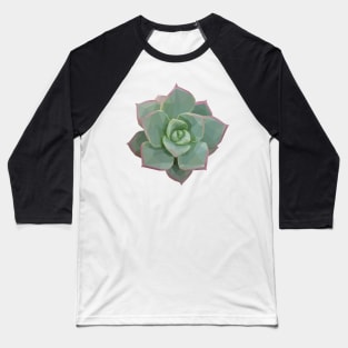 Low Poly Green and Pink Succulent Baseball T-Shirt